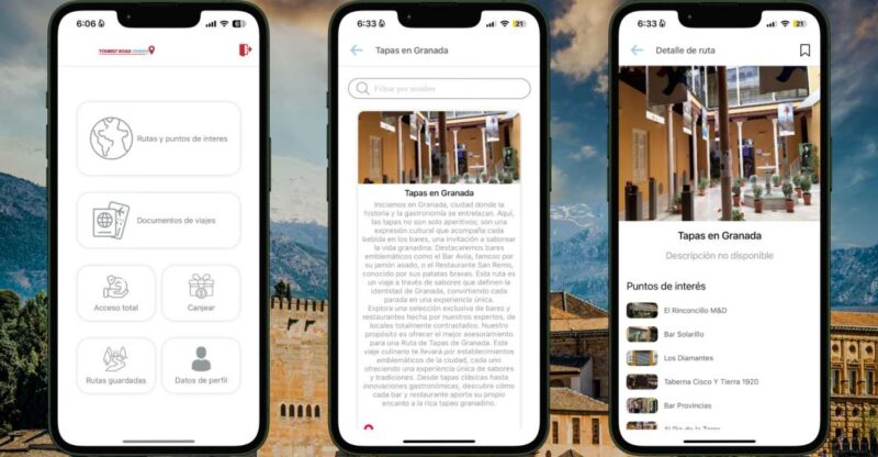 Self-Guided Audio Guide Tapas in Granada - Key Points