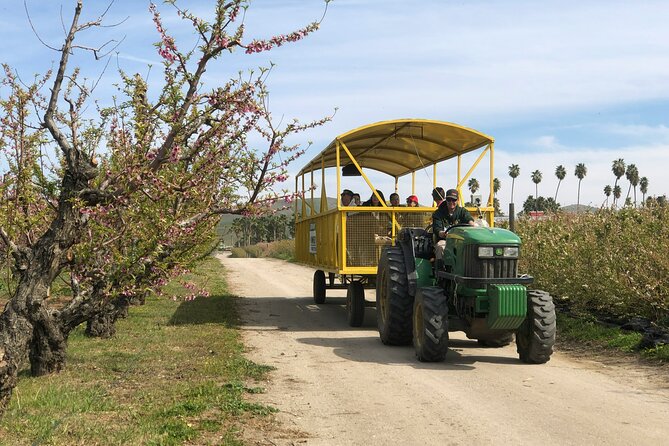 Self-Guided Bakersfield Scavenger Hunt: Resilient Bakersfield - Accessibility for All Explorers