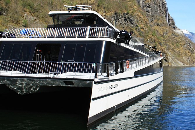 Self-Guided Bergen to Oslo Daytrip With Flamsbana & Fjordcruise - Accessibility