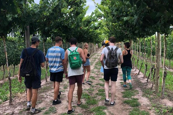 Self-Guided Bike Tour in Luján De Cuyo (Mendoza) - Included in the Price