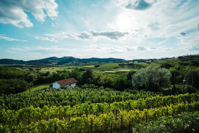 Self-Guided Bike Tour in Slovenia - Scenic Train Ride and Cycling