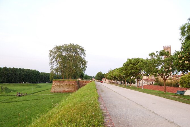Self Guided Bike Tour in the Nature to Villa Reale - Overview of the Bike Tour