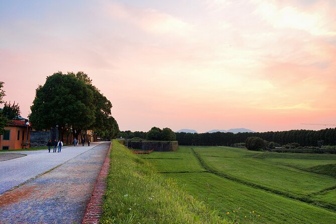 Self Guided Bike Tour in the Nature to Villa Reale - Bicycle and Safety Equipment