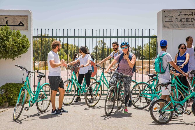 Self Guided Bike Tour of Carthage Archeological Site - Explore the Ancient City