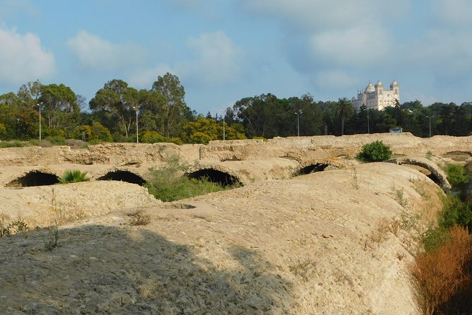 Self Guided Bike Tour of Carthage Archeological Site - Cycling Through History