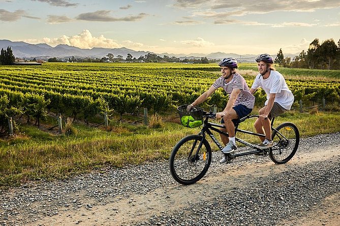 Self-Guided Biking Wine Tour (Full Day) in the Marlborough Region. - Winery Tasting Fees and Lunch