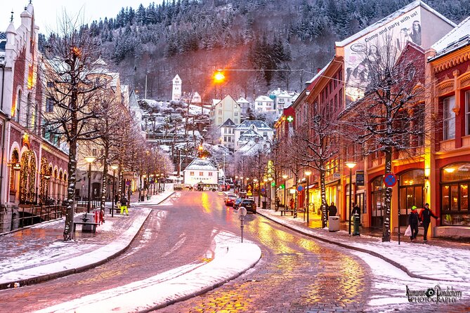 Self-Guided Day Tour From Bergen to Flam All Inclusive Roundtrip - Roundtrip Transportation