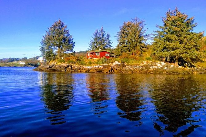 Self-Guided Day Tour - Grand Sognefjord Cruise & Flam Railway - Accessibility and Participation