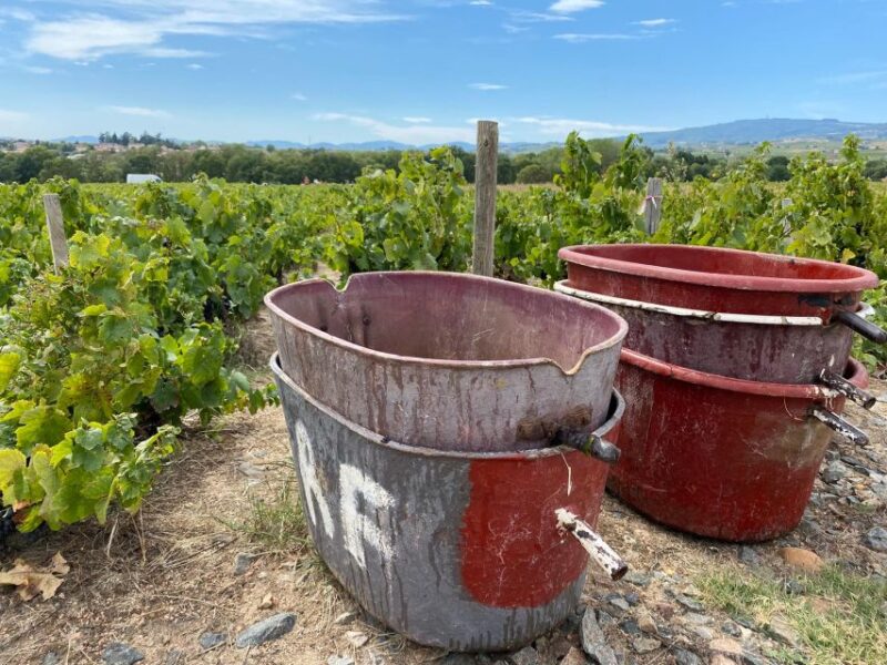 Self-Guided Day-Trip by Train to the Beaujolais (From Lyon) - Train Journey to Romanèche-Thorins