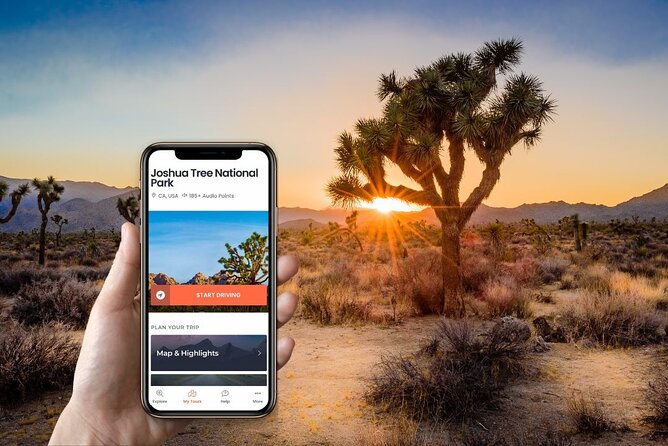 Self-Guided Driving Audio Tour in Joshua Tree National Park - Meeting and Pickup Location