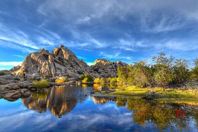Self-Guided Driving Audio Tour in Joshua Tree National Park - Accessibility and Participation
