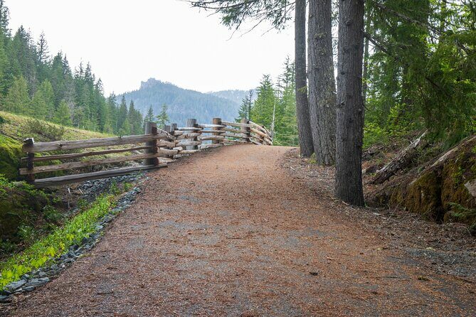Self Guided Driving Audio Tour of Mount Rainier National Park - In-Depth Review: Why This Tour Stands Out