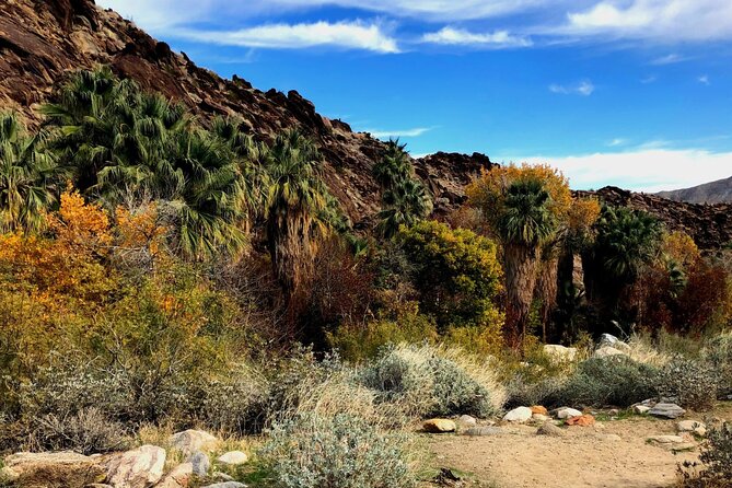 Self Guided Driving Audio Tour of Palm Springs - Exploring Palm Springs Highlights