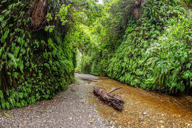 Self Guided Driving Audio Tour of Redwood National and State Park - How to Get Started