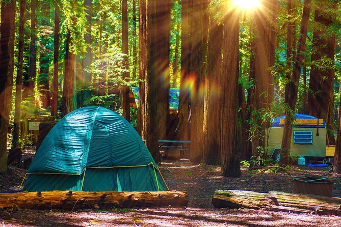 Self Guided Driving Audio Tour of Redwood National and State Park - Customer Support and Updates