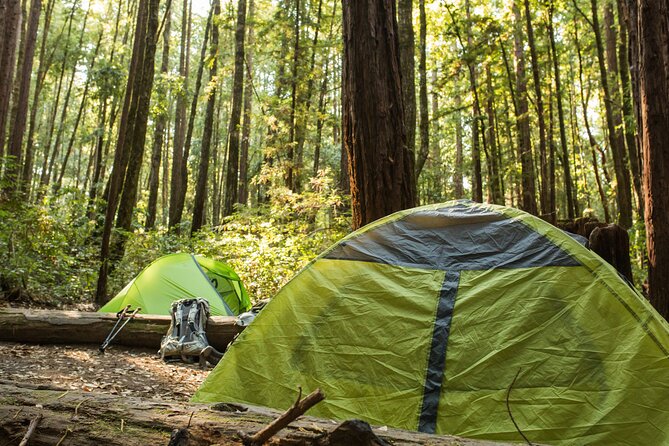 Self Guided Driving Audio Tour of Redwood National and State Park - Operating Hours and Review Summary