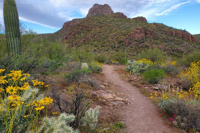 Self Guided Driving Audio Tour of Saguaro National Park - Meeting and Pickup Information