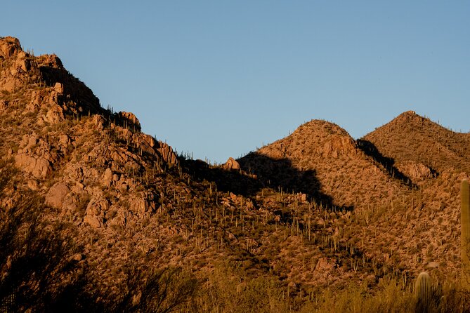 Self Guided Driving Audio Tour of Saguaro National Park - Accessibility Considerations
