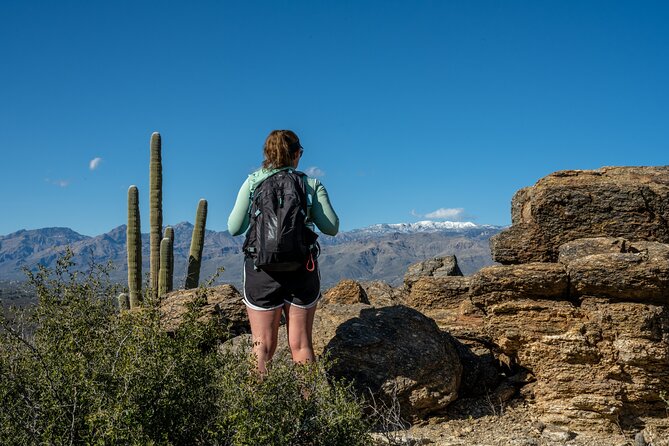 Self Guided Driving Audio Tour of Saguaro National Park - How to Purchase and Use the Tour