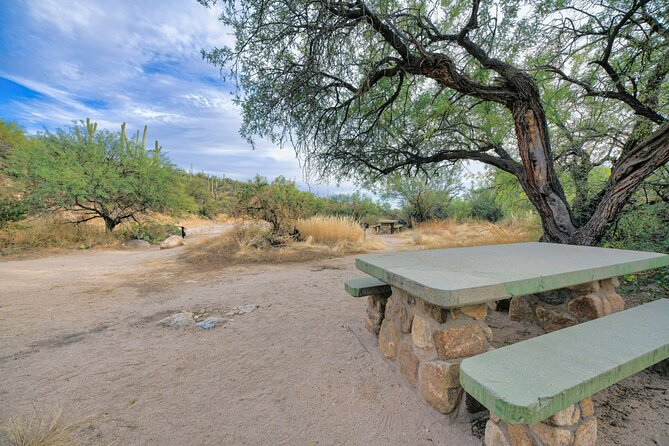 Self Guided Driving Audio Tour of Saguaro National Park - Support and Customer Service Options