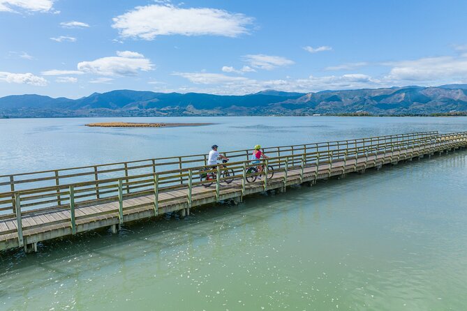 Self-Guided E-Bike Cycle Tour With Private Wine Tasting - Health and Safety Information