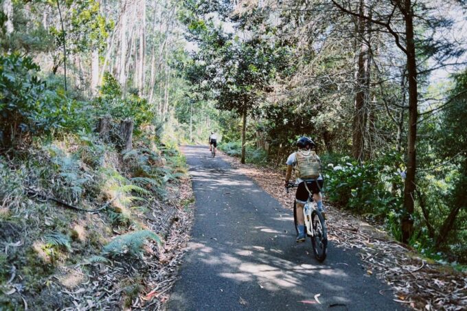 Self-Guided E-Bike Road Tour - Camacha to Monte With Lunch - Explore Stunning Views and Local Cuisine