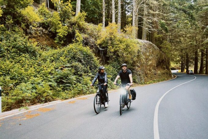 Self-Guided E-Bike Road Tour - Camacha to Monte With Lunch - Recap