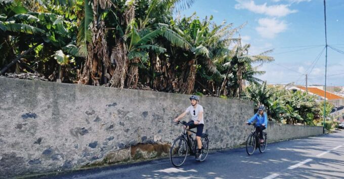 Self-Guided E-Bike Road Tour - Funchal to Câmara De Lobos - Recap