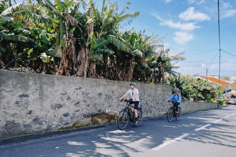 Self-Guided E-Bike Road Tour - Funchal to Câmara De Lobos - Itinerary and Highlights