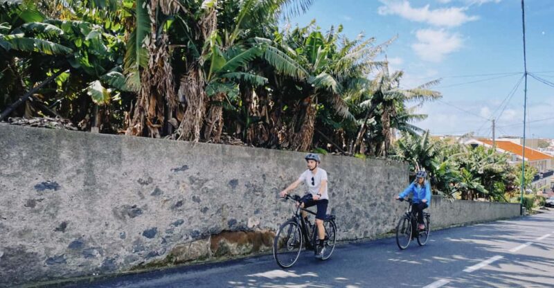 Self-Guided E-Bike Road Tour - Funchal to Câmara De Lobos - Included Equipment