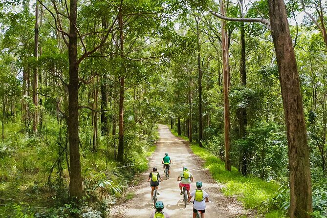 Self Guided E Bike Tour - Unicorn Falls, Rainforest & Rail Trail - Key Points