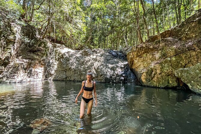 Self Guided E Bike Tour - Unicorn Falls, Rainforest & Rail Trail - Analyzing the Value