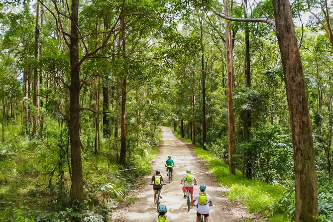 Self Guided E Bike Tour - Unicorn Falls, Rainforest & Rail Trail - Tour Highlights: Rainforest