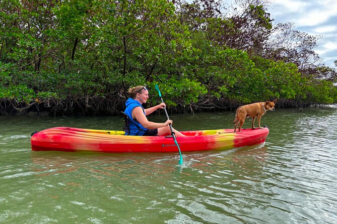 Self Guided EcoTour: Clear/Standard Kayaks -Bonita Springs - Customer Reviews and Experiences