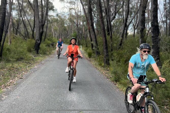 Self Guided Electric Bicycle Tour of Bundanoon - What the Bikes and Audio Tour Mean for Your Experience