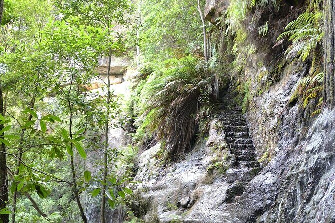 Self Guided Electric Bicycle Tour of Bundanoon - Practical Details for Travelers