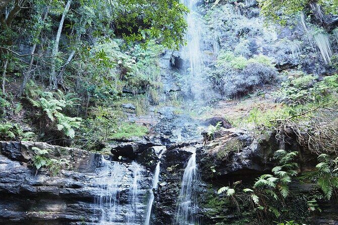 Self Guided Electric Bicycle Tour of Bundanoon - Authentic Reviews & Insights