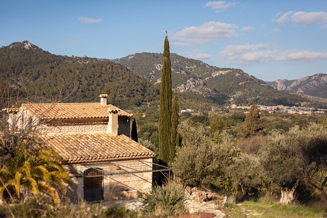 (Self Guided) Electric Scooter Tour in the Countryside Mallorca! - Tour Reviews and Ratings