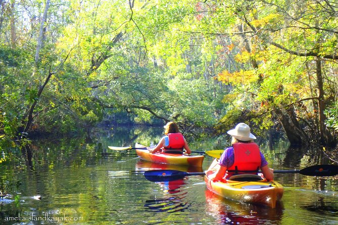 Self Guided Family Friendly Kayak Rental Experience Old Florida - Additional Information