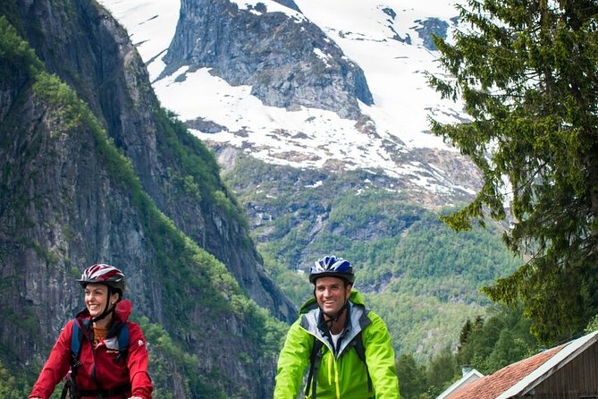 Self-Guided Full Day: Bergen to Oslo With Sognefjord Cruise (5h) - Scenic Train Journeys
