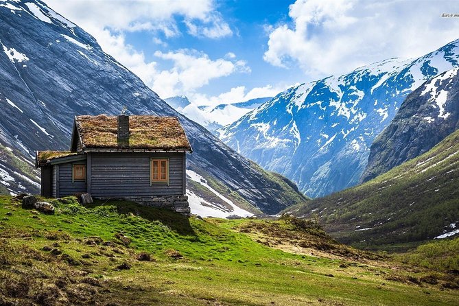 Self-Guided Full Day: Bergen to Oslo With Sognefjord Cruise (5h) - Traveler Feedback and Recommendations