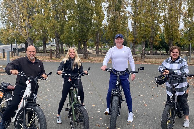 Self Guided Full Day E-bike Rental With Picnic Lunch - Accessibility and Requirements