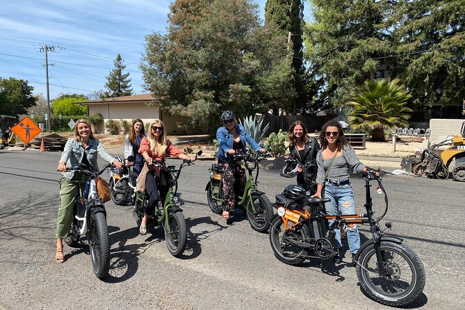 Self Guided Full Day E-bike Rental With Picnic Lunch - Pricing and Availability Information