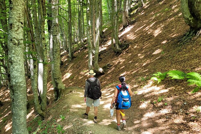 Self-Guided Hiking Tour: Theth, Valbona & Koman Lake in 3 Days - Day 1: Theth and the Blue Eye