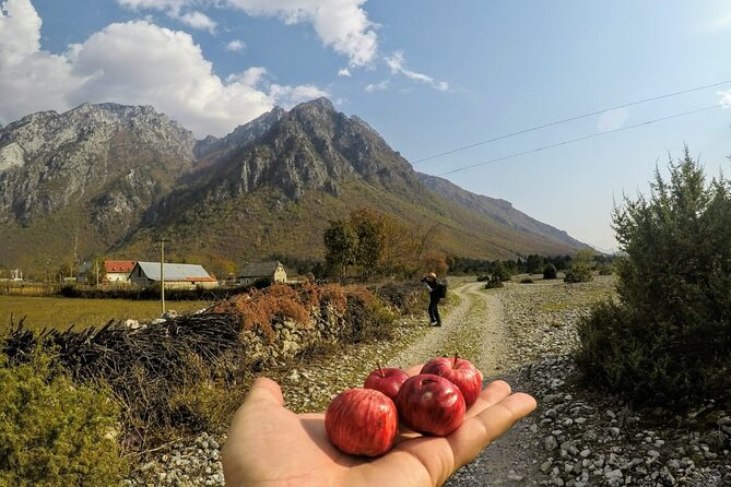 Self-Guided Hiking Tour: Theth, Valbona & Koman Lake in 5 Days - Tour Assistance