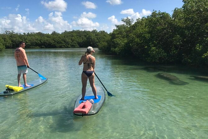Self-Guided Island Tour - CLEAR or Standard Kayak or Board - Bonita Springs - Recommendations
