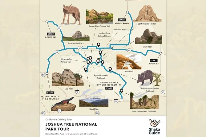 Self Guided Joshua Tree National Park Driving Tour - Booking Process and Accessibility