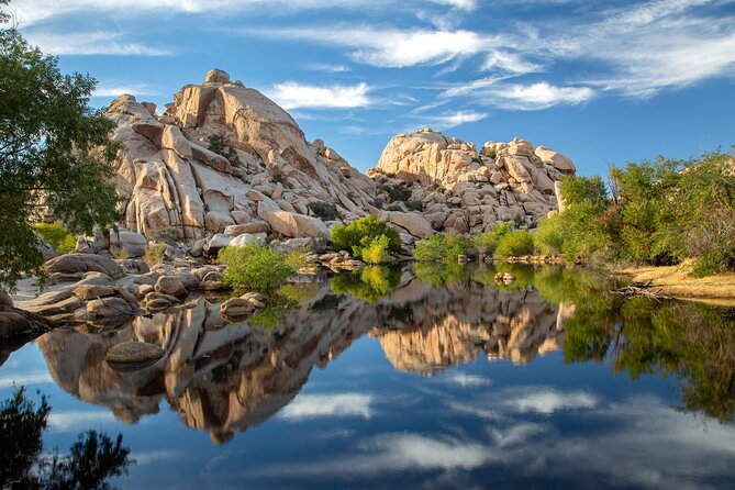 Self Guided Joshua Tree National Park Driving Tour - User Reviews and Feedback