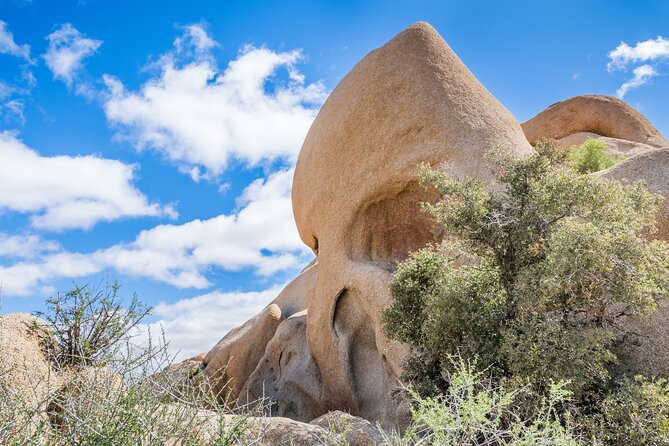 Self Guided Joshua Tree National Park Driving Tour - Frequently Asked Questions