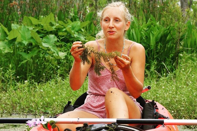 Self Guided Kayak Bayou Swamp Tour - Safety Considerations